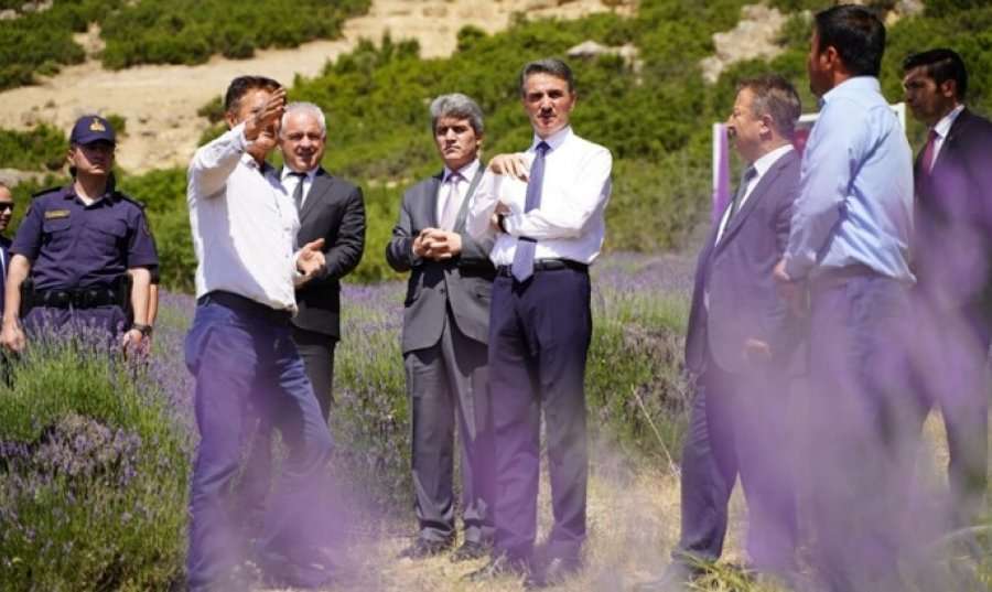 LAVENDER FESTIVAL STARTED IN THE WEST OF TURKEY