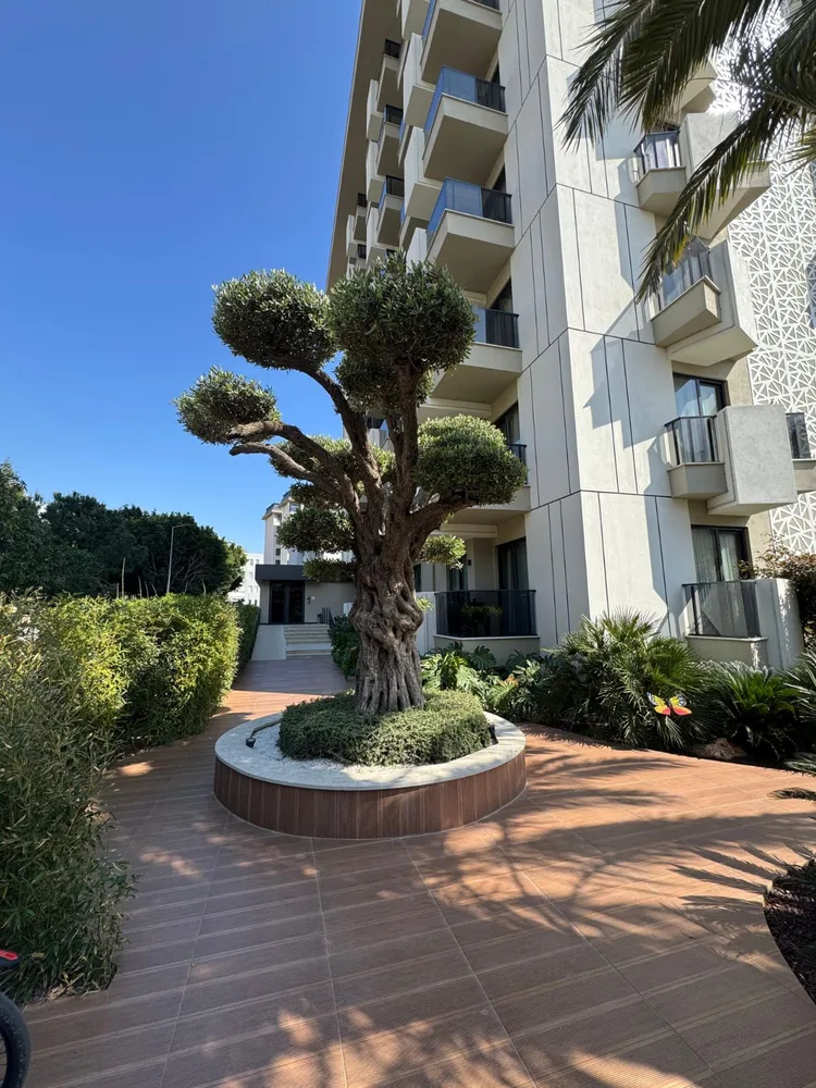 Best Home 41 Saga - View property