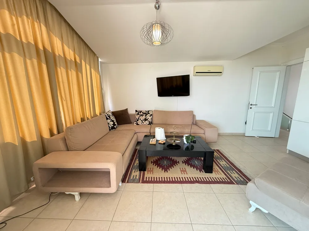 Olive City Interior - 7