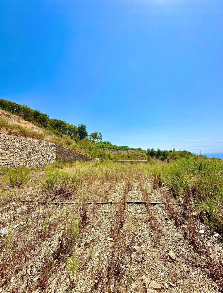 - View property