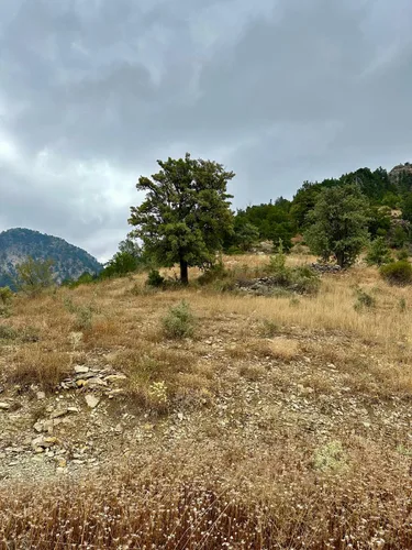 , Exterior - 4