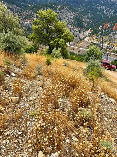 , Exterior - 3