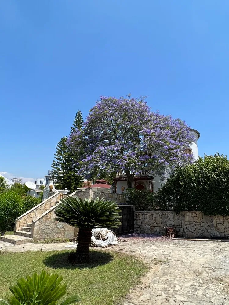 VİLLA BULUTLAR Interior - 23