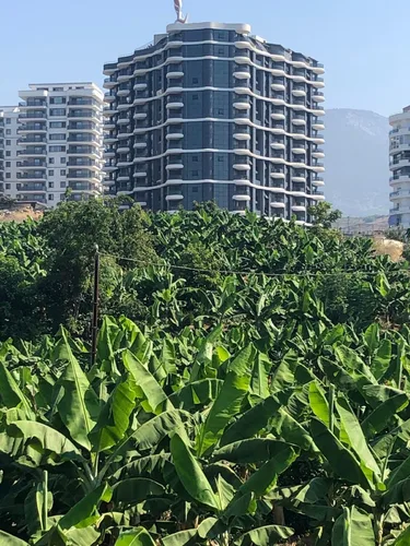 LİBERTY DELUXE, Exterior - 2