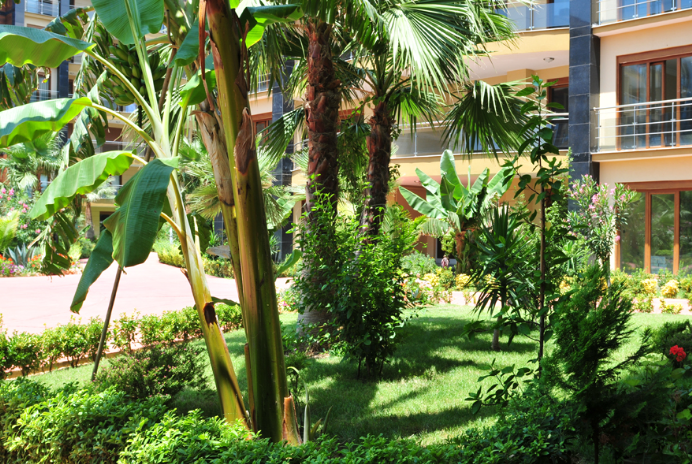 50m to Sea! 3+1 Apartment for sale in Selcuklu Konaklari Alanya! Facilities - 14