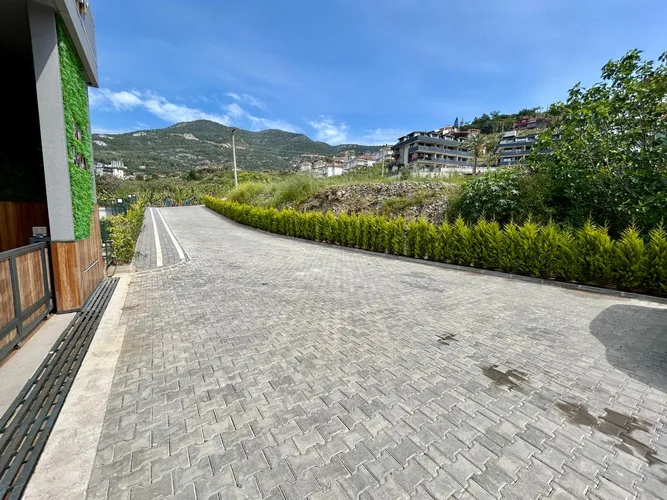  - image 5