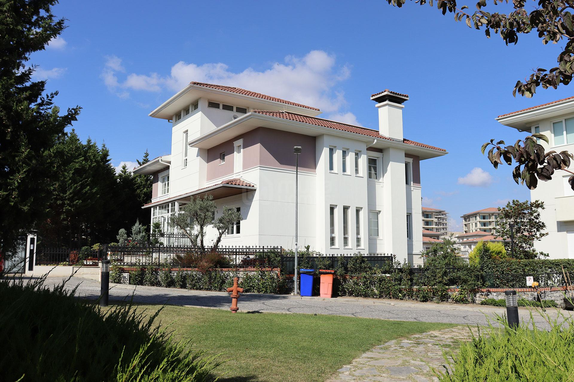  - image 4
