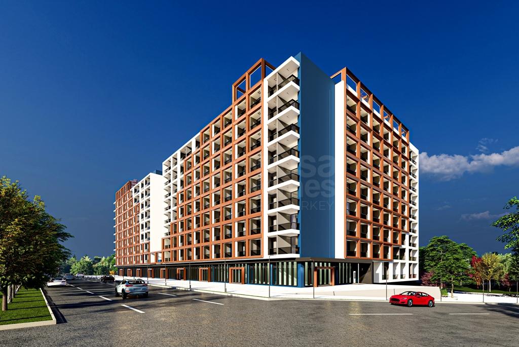  - image 4