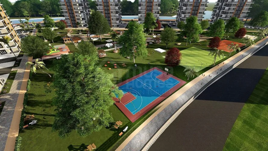  - image 3