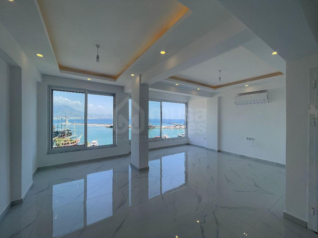  - image 4