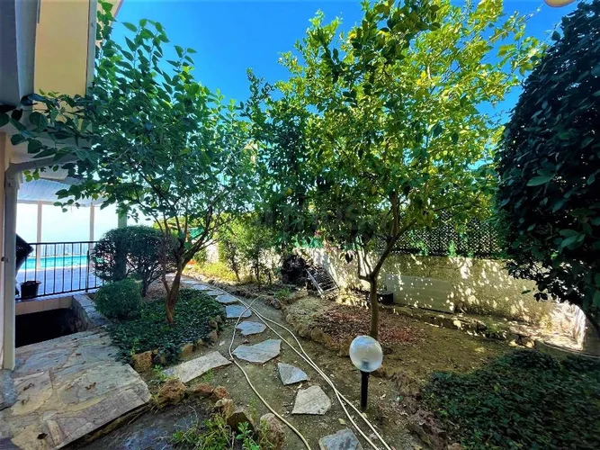 - image 3
