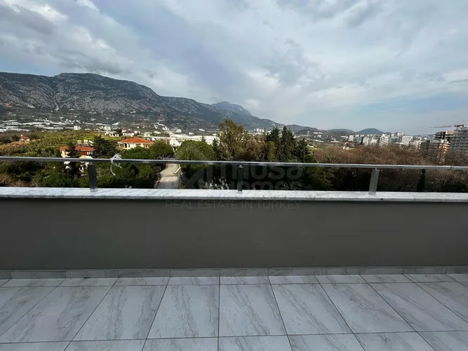  - image 2