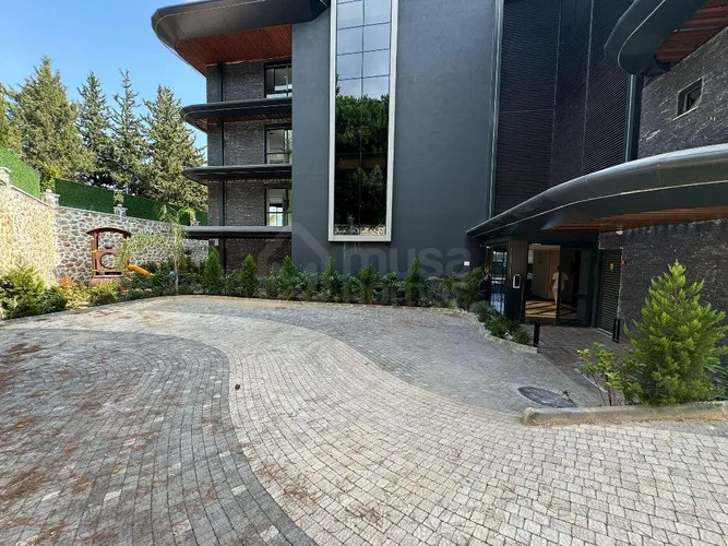  - image 3