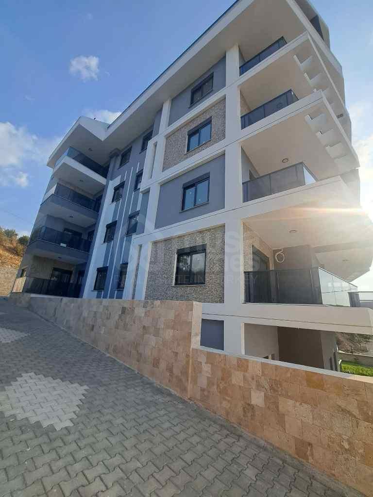  - image 4