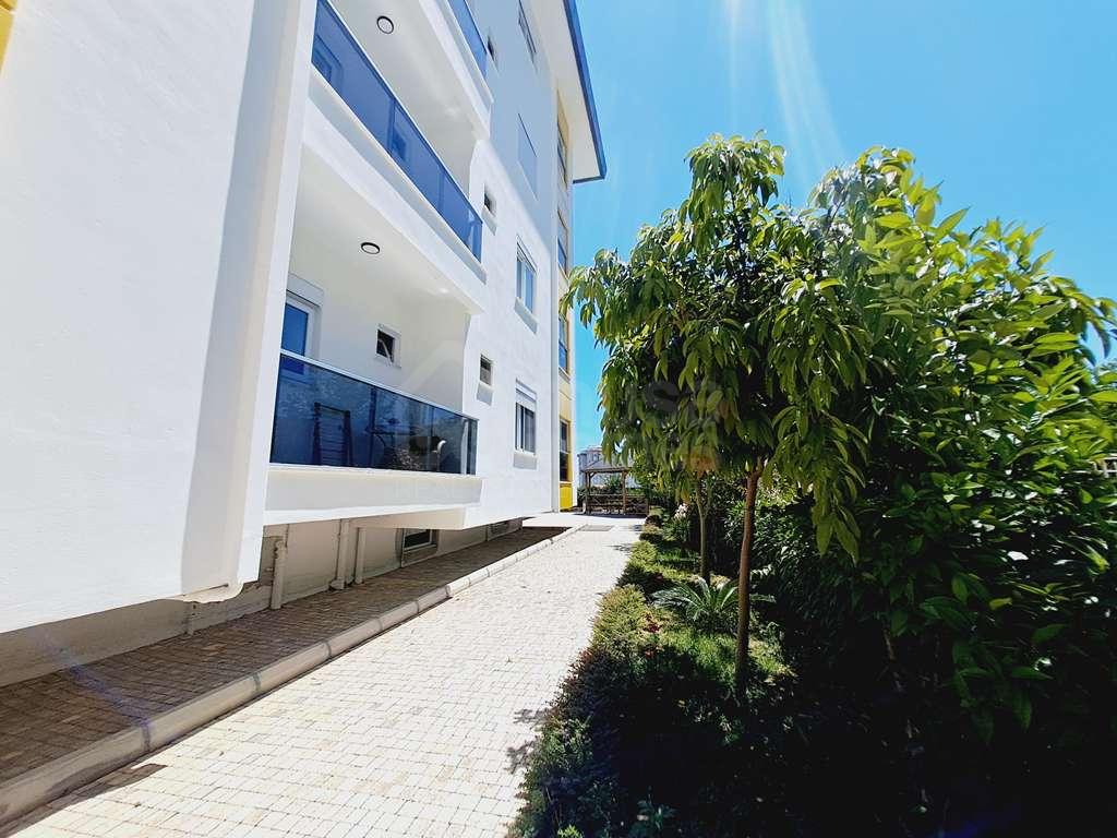  - image 4