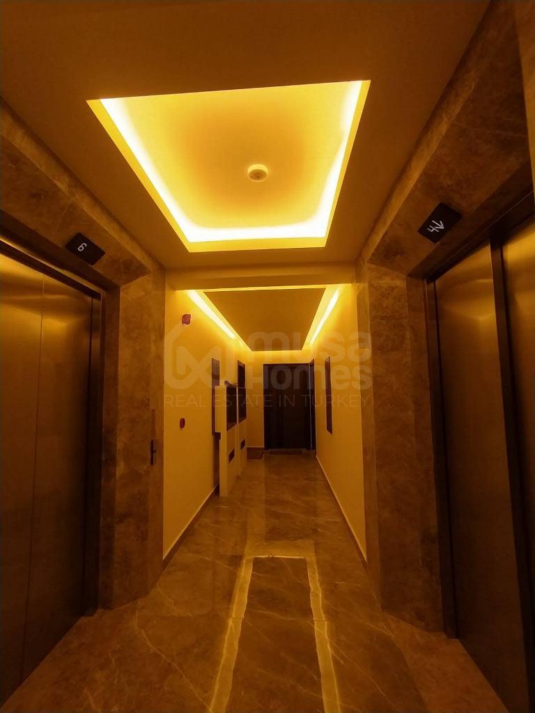  - image 4