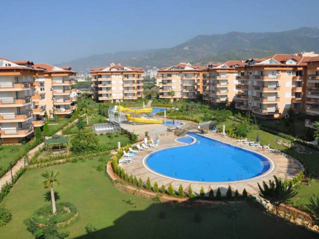  - image 1