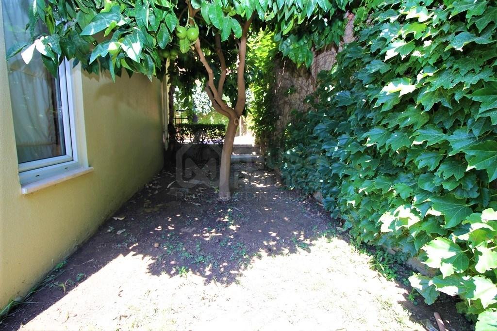  - image 4