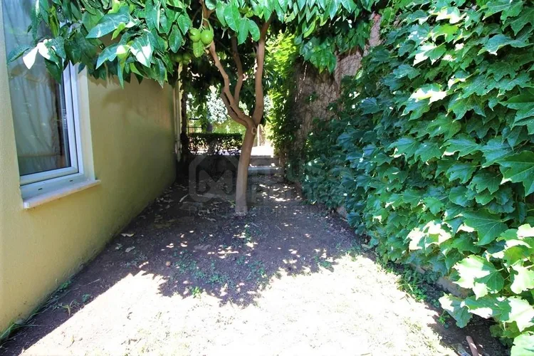  - image 4