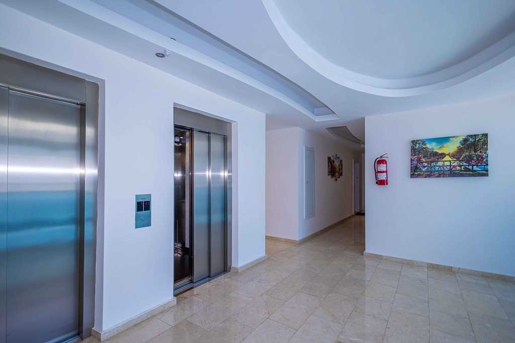  - image 4