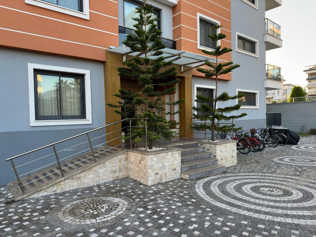  - image 3