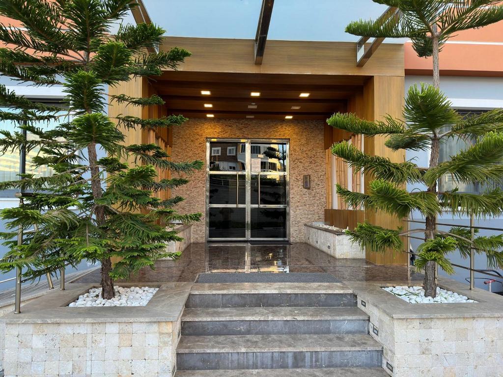  - image 4