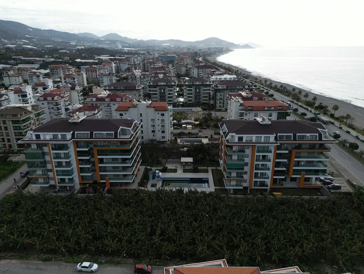  - image 4