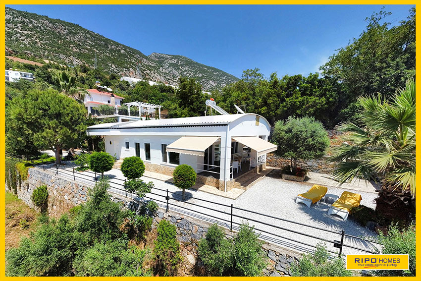 Properties for sale Ripo code:1268-253-8-P
